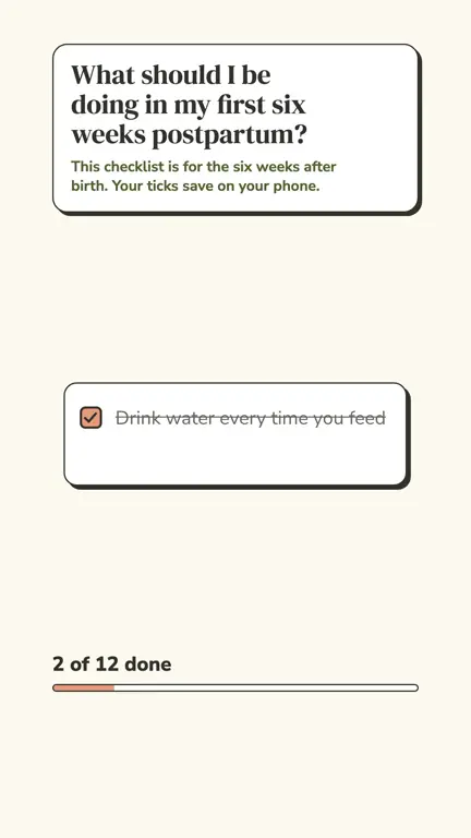 Postpartum Recovery Checklist in use
